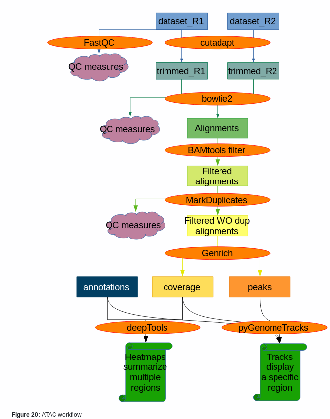 ATACseq Workflow