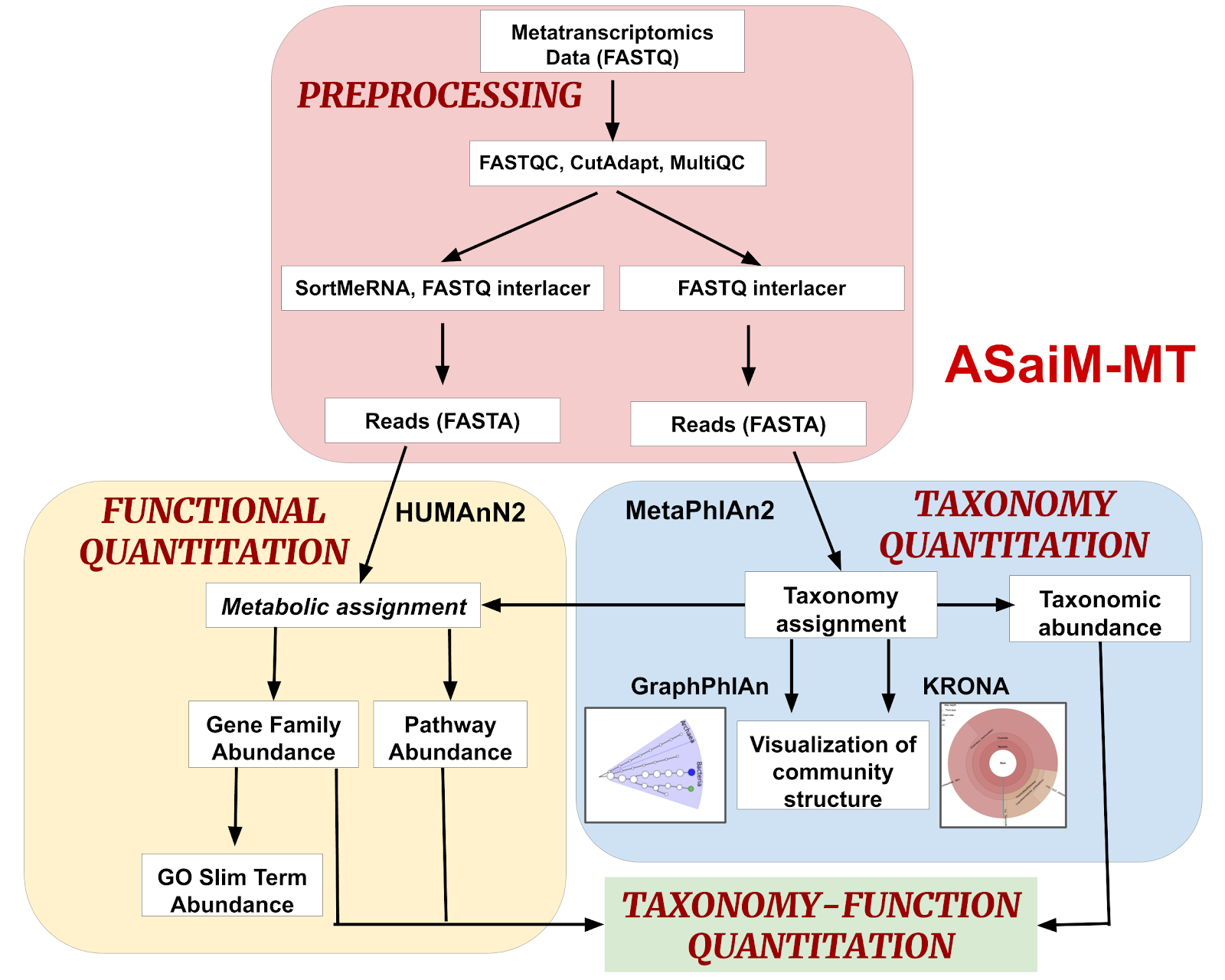 ASaiM-MT workflow