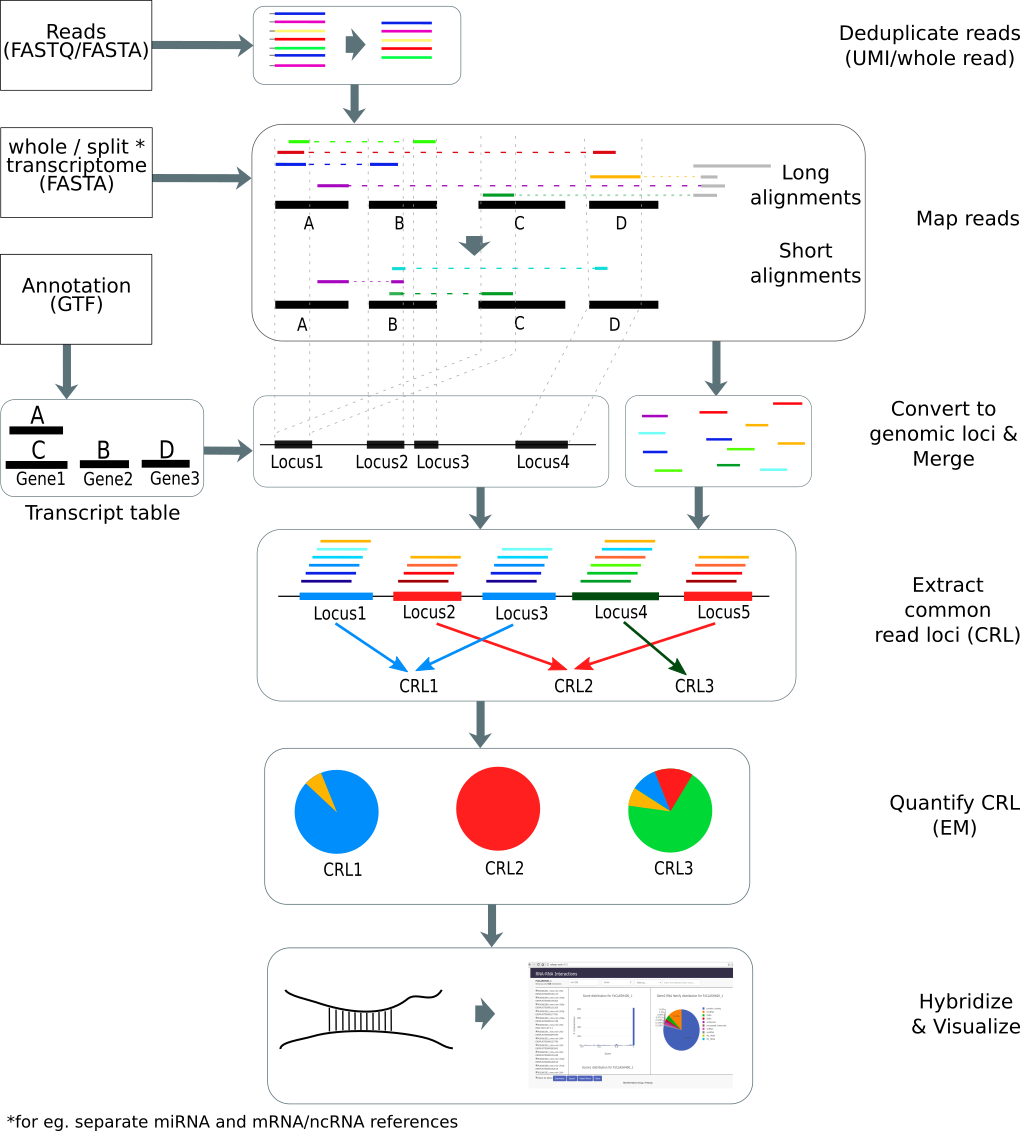 ChiRA workflow