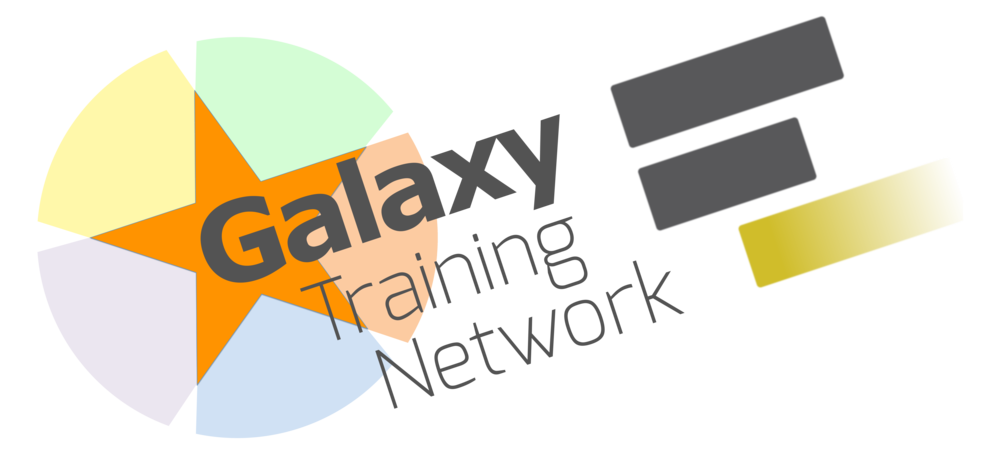 Galaxy Training Network Logo
