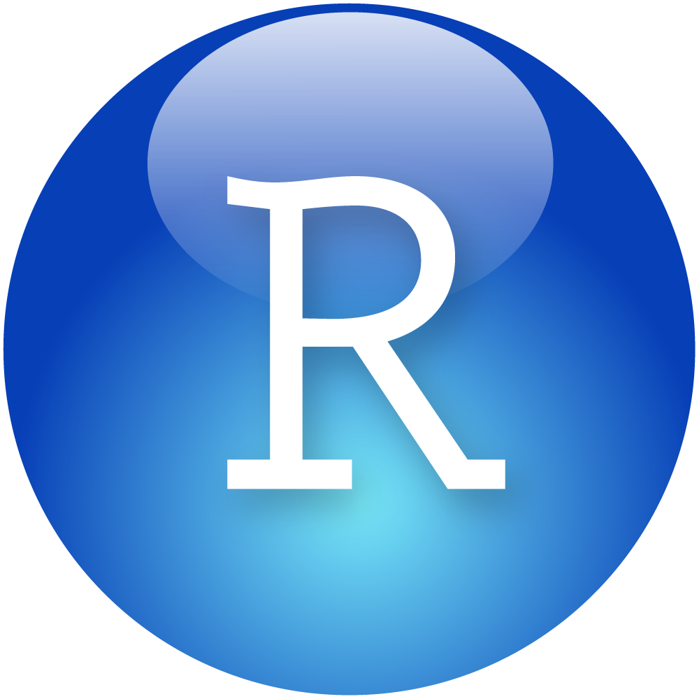 RStudio with a basic R packages pre-installed.