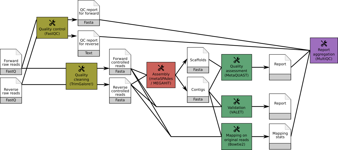 ASaiM assembly workflows