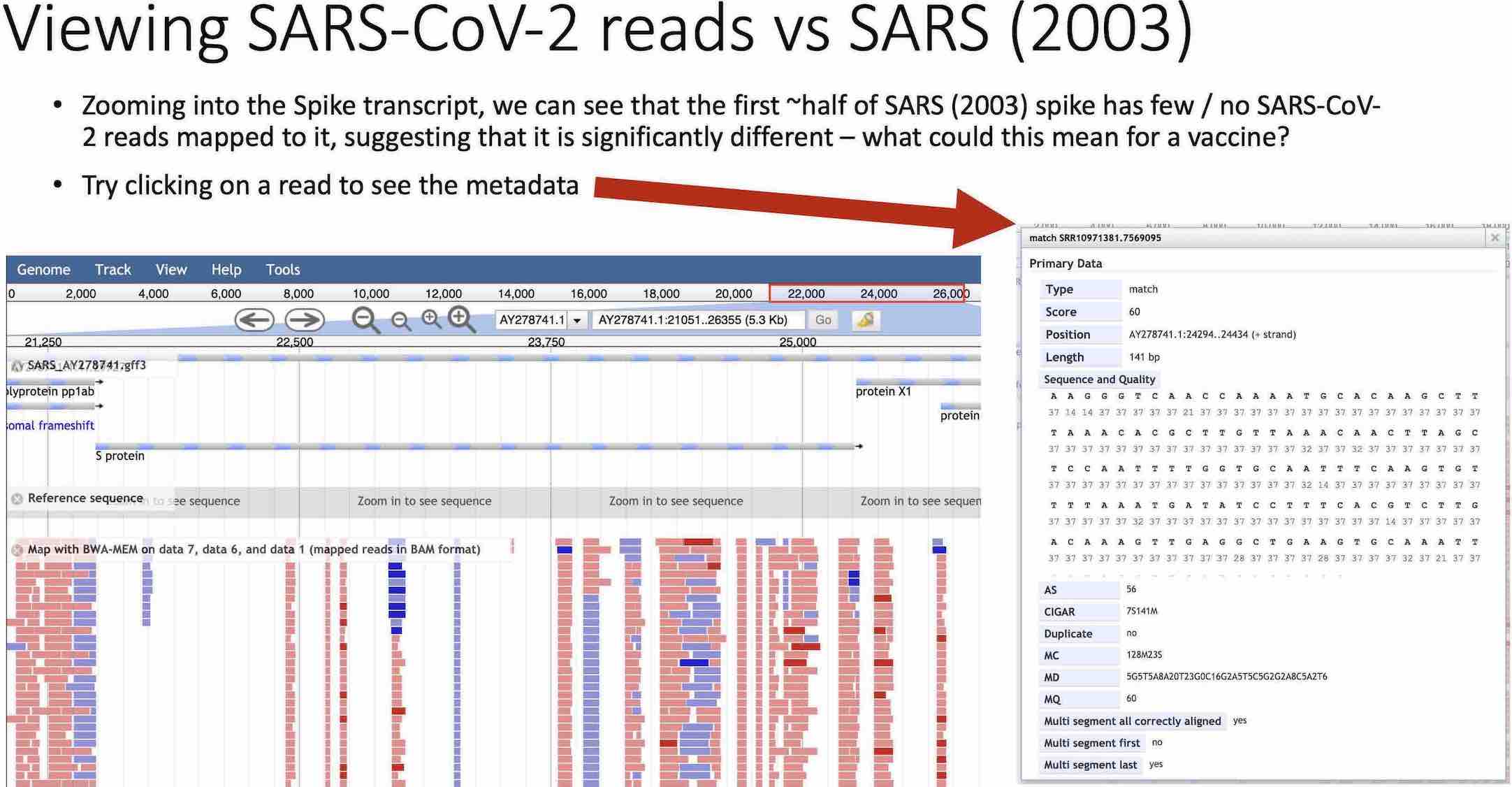 Slide from the workshop guide, comparing SARS-CoV-2 mapping to a SARS genome