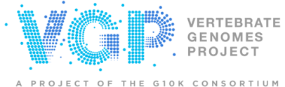 VGP